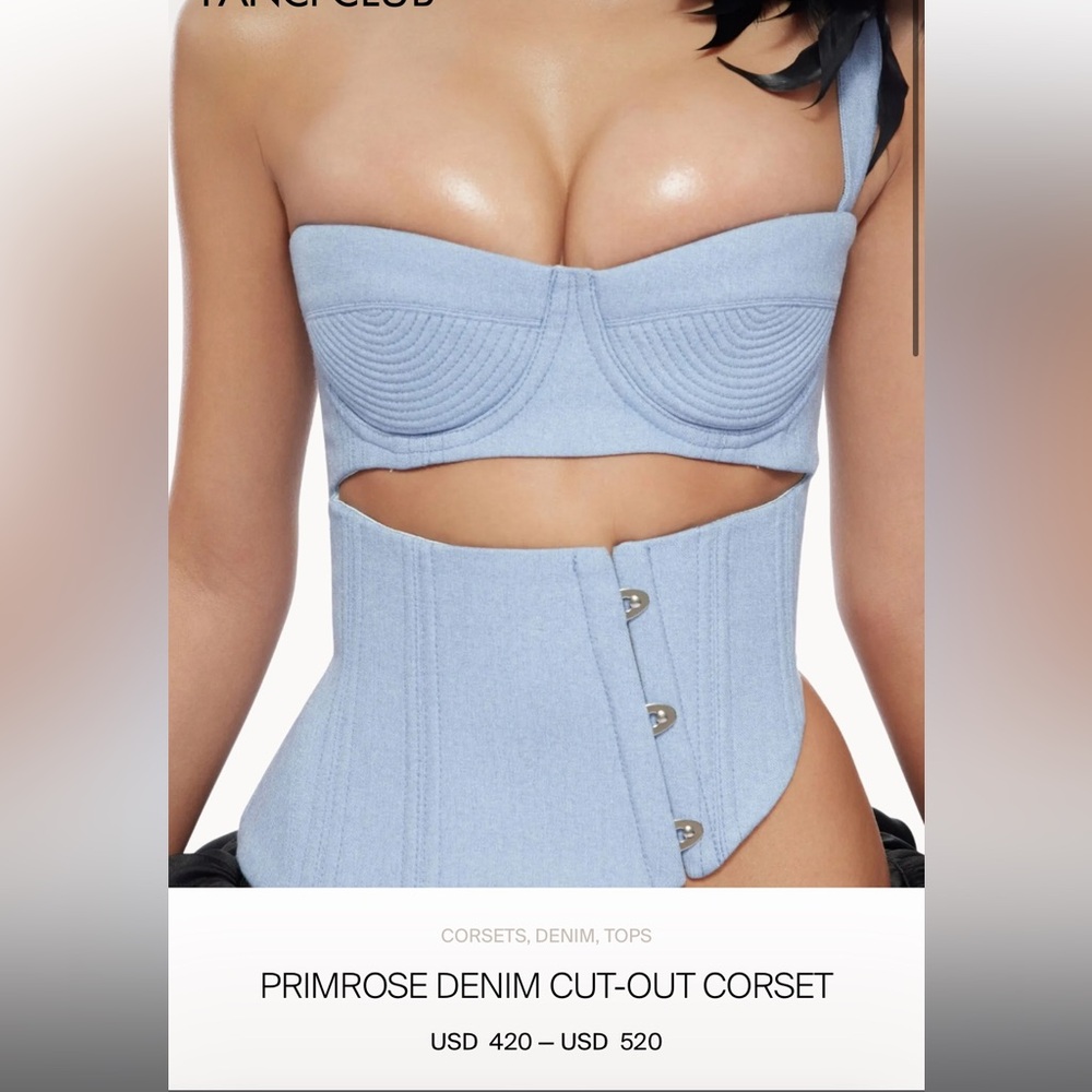 Fanci Club Corset